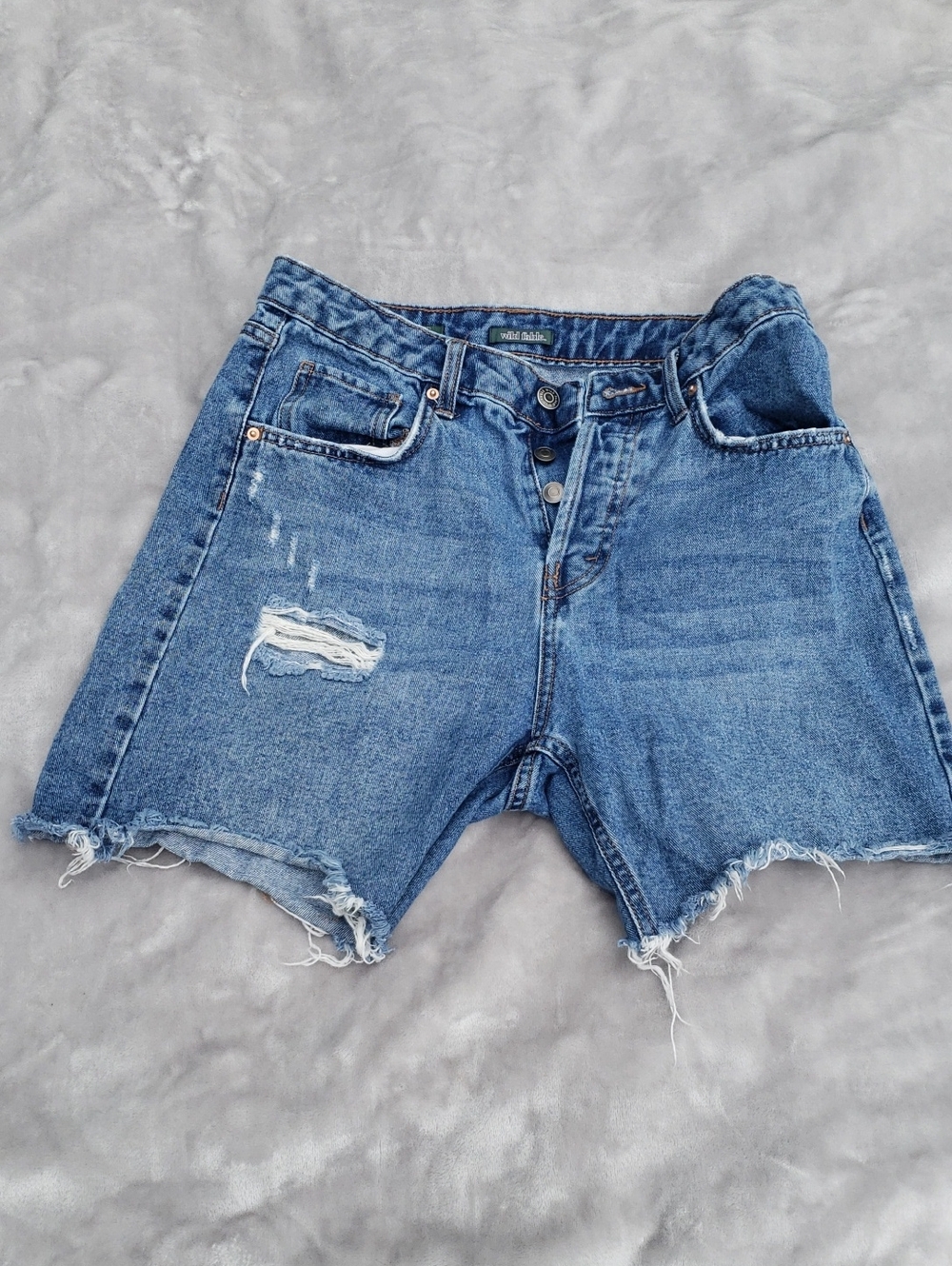 Wild Fable Shorts